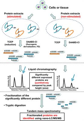 Frontiers Recent Progress In FD LC MS MS Proteomics Method